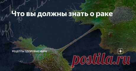 Что вы должны знать о раке Статья автора «Рецепты здоровья мира» в Дзене ✍: Рак заставляет клетки бесконтрольно делиться.