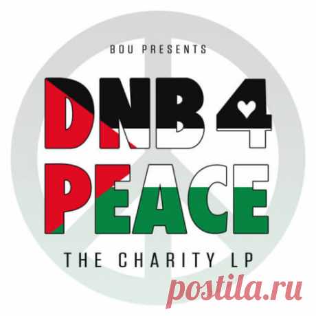 VA — THE CHARITY LP (DNB:4:PEACE) FLAC, MP3 Download! DRUM & BASS 2024