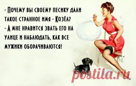 Картинки с юмором: прикольные надписи и фразы | В темпі життя