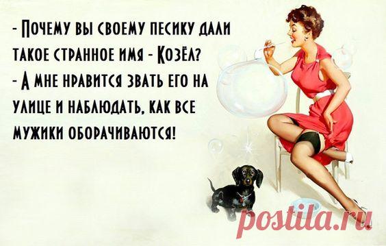 Картинки с юмором: прикольные надписи и фразы | В темпі життя