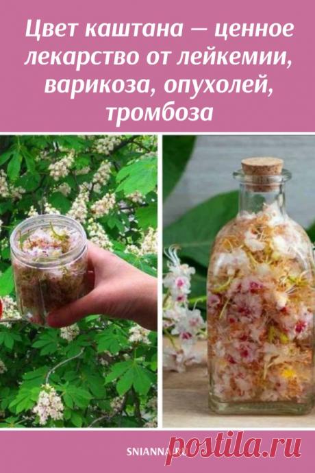 Цвет каштана — ценное лекарство: лечит лейкемию, опухоли мозга, варикоз и тромбофлебит ➡️Кликайте на фото, чтобы прочитать статью