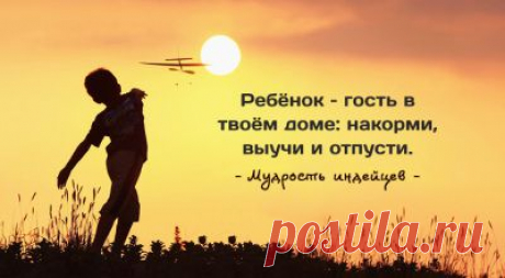 25 удивительных фото – Фитнес для мозга