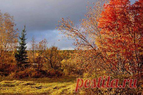 Фотолайф.ТВ - Категория «Природа»