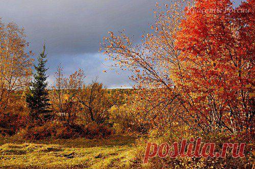 Фотолайф.ТВ - Категория «Природа»