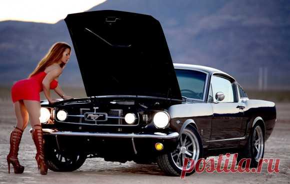 Beautiful Chicks and the Ford Mustang