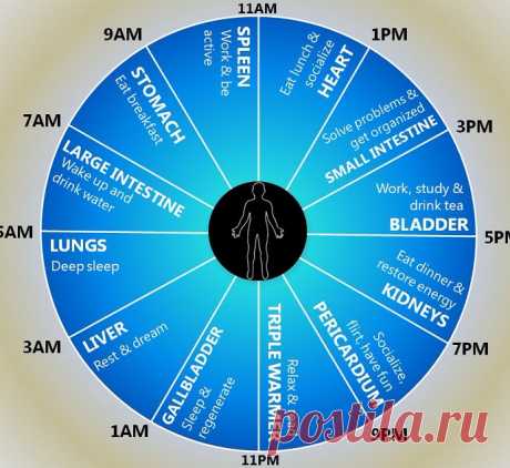 Диначарья: режим дня по Аюрведе Экология жизни: Здоровье. Современные люди живут по правилам, которые им диктует общество и интенсивный ритм современной жизни.