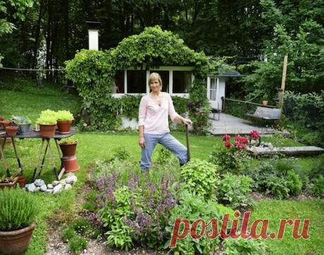 Дача / Cадовый участок | Теги | Женский журнал Домашний Очаг