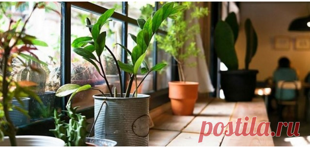 Перекись водорода станет твоей незаменимой помощницей после прочтения этой статьи! Как часто мы даже не догадываемся, что с помощью подручных средств можно творить настоящие чудеса… Возьми бутылочку перекиси и посмотри на нее. Ты держишь в руках настоящее сокровище!

Как использовать перекись водорода

1. Невероятный результат Перекиси который поможет удалить пятна с белой ткани. Немного перекиси нанеси на пятно и потри его — результат тебя удивит!