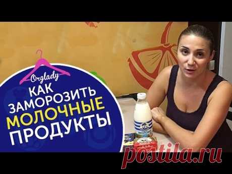 Как заморозить продукты? Замораживаем молочные продукты без потери вкуса и качества.