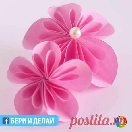 (5) Facebook