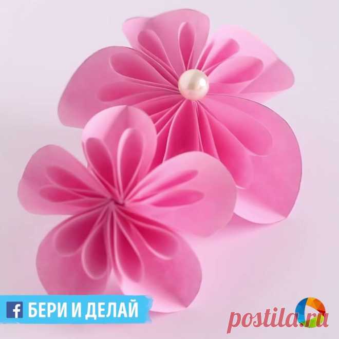 (5) Facebook