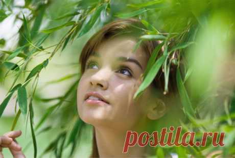 Рецепты для продления молодости.