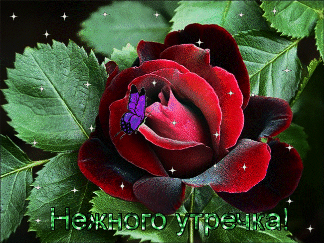 Плейкаст «БОДРОГО УТРА,ТЁПЛОГО ДНЯ!»