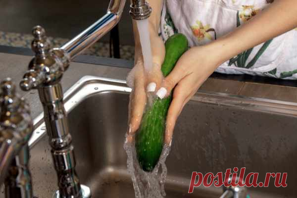 Как приготовить огуречный салат — Домашняя кулинария