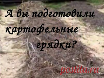 АГРОТЕХНИКА ВЫРАЩИВАНИЯ КАРТОФЕЛЯ ПОД СОЛОМОЙ!