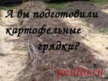АГРОТЕХНИКА ВЫРАЩИВАНИЯ КАРТОФЕЛЯ ПОД СОЛОМОЙ!