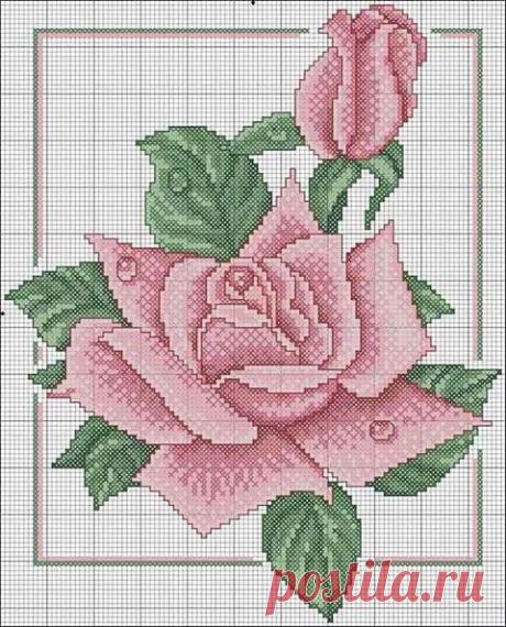 (6) Facebook