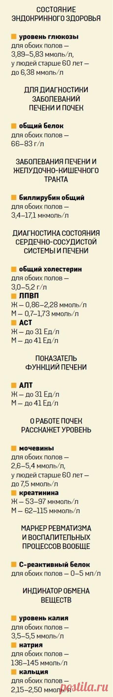 О чем расскажет анализ крови - Новости Украины - From-UA