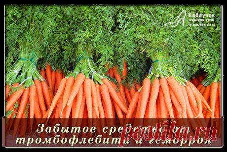 Забытое средство от тромбофлебита и геморроя — ботва моркови