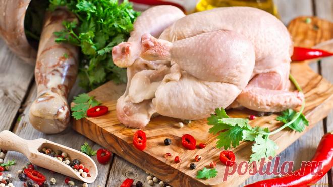 5 Вкусных блюд из Курицы! | Светлана Миронова | Яндекс Дзен