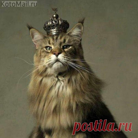С короной царь на голове - он лев в миниатюре...