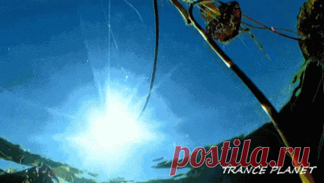 s-9356.gif (494×279)