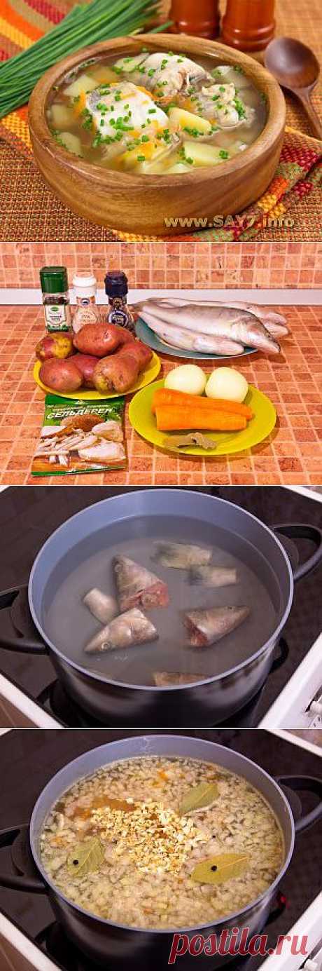 Уха