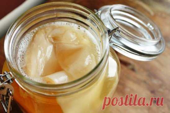 Как вырастить чайный гриб самостоятельно?