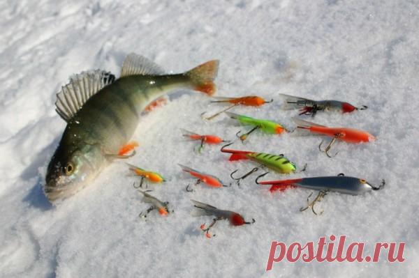 Зимняя рыбалка для новичков — советы от бывалых рыбаков