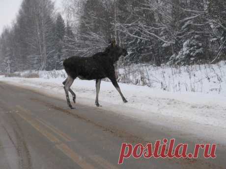 Google+