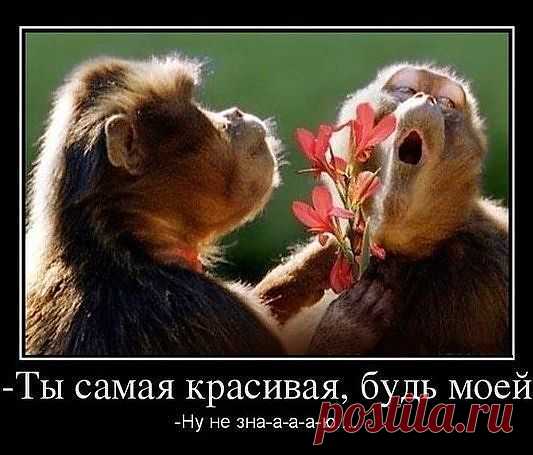 Мой Мир@Mail.Ru