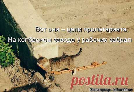 Интересные новости