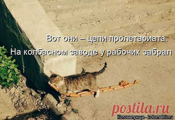 Интересные новости