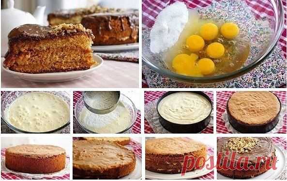 Медовый бисквит