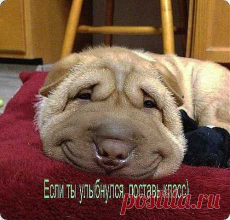 С УЛЫБКОЙ ПО ЖИЗНИ