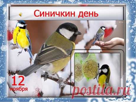 12 Ноября-Синичкин День, запреты, традиции и история | Мир Вокруг Нас | Яндекс Дзен