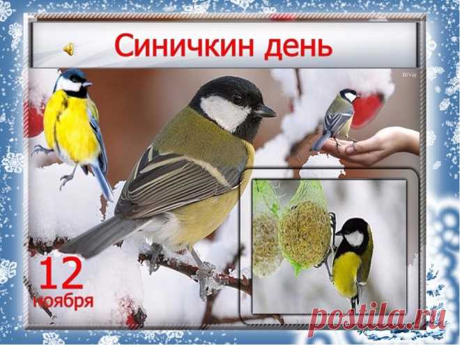 12 Ноября-Синичкин День, запреты, традиции и история | Мир Вокруг Нас | Яндекс Дзен
