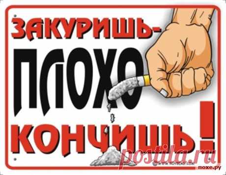 СМЕШНАЯ СХЕМА НА МЕДИЦИНСКУЮ ТЕМУ: 12 тыс изображений найдено в Яндекс.Картинках