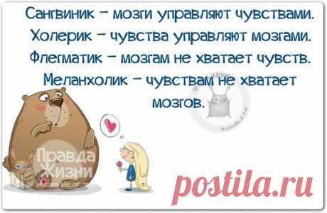 С самого рождения все люди отличаются друг от друга по типу темперамента, который остаётся неизменным в течение всей жизни, под влиянием обстоятельств меняются лишь черты характера. Так что же такое темперамент флегматика, меланхолика, сангвиника или холерика, какая характеристика в описании позволит безошибочно отличить одного от другого?