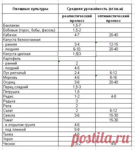 Чего и сколько нам сажать, чтоб закромам не пустовать / Огород / 7dach.ru
