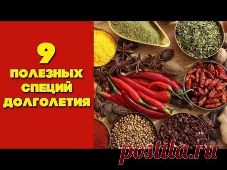 Полезные специи долголетия | Самые полезные специи для здоровья