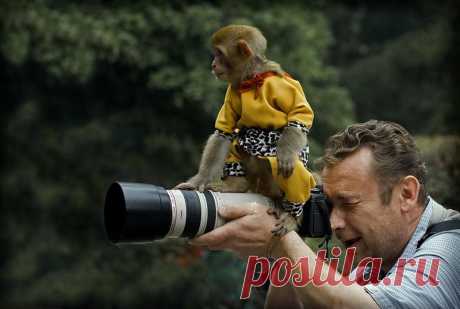 laragi — «Ассистент» на Яндекс.Фотках