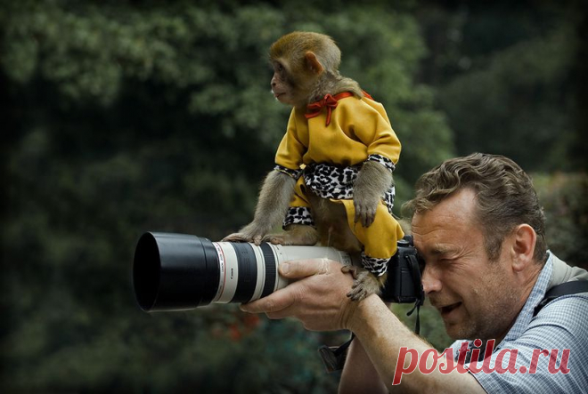 laragi — «Ассистент» на Яндекс.Фотках