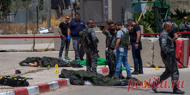 Нападение на КПП «Салем»: террористы ехали в Израиль, чтобы устроить бойню | detaly.co.il