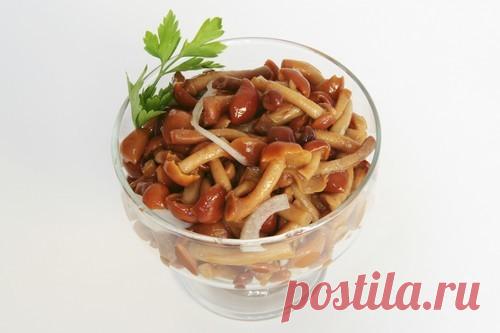 Опята: самые вкусные рецепты консервирования. Маринованные опята. / Простые рецепты