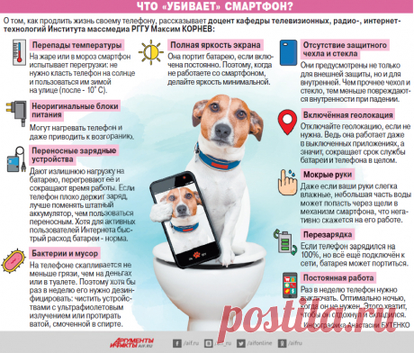 Смартфономания. Что нужно знать, чтобы не переплачивать за телефон? | Гаджеты | Техника | Аргументы и Факты