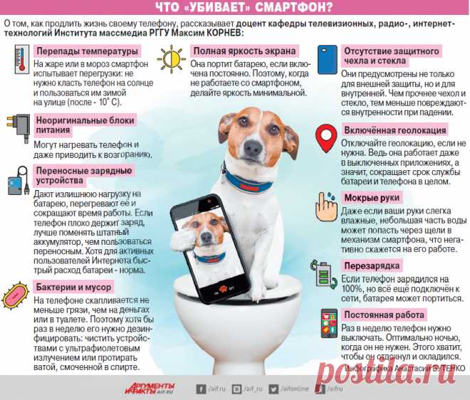 Смартфономания. Что нужно знать, чтобы не переплачивать за телефон? | Гаджеты | Техника | Аргументы и Факты
