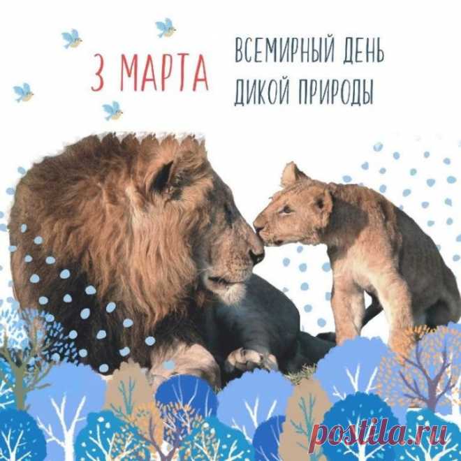 3 марта всемирный день дикой природы!