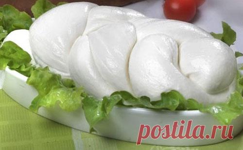 Рецепт Сулугуни в домашних условиях