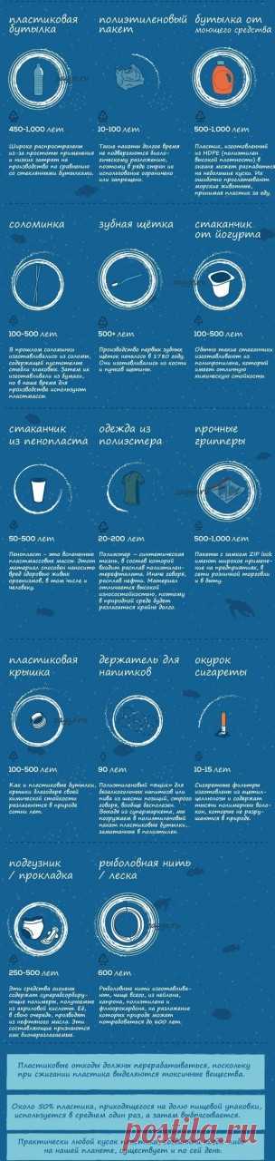 Сколько времени требуется пластику для разложения?